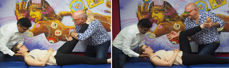 NOI Mobilisation of the Neuroimmune System